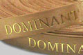 Атласная лента  с печатью  вспененой краской, ширина 15 мм, номер ленты К859, нанесение - логотип компании Dominant, печать вспененой краской цвета золото, город Днепропетровск
